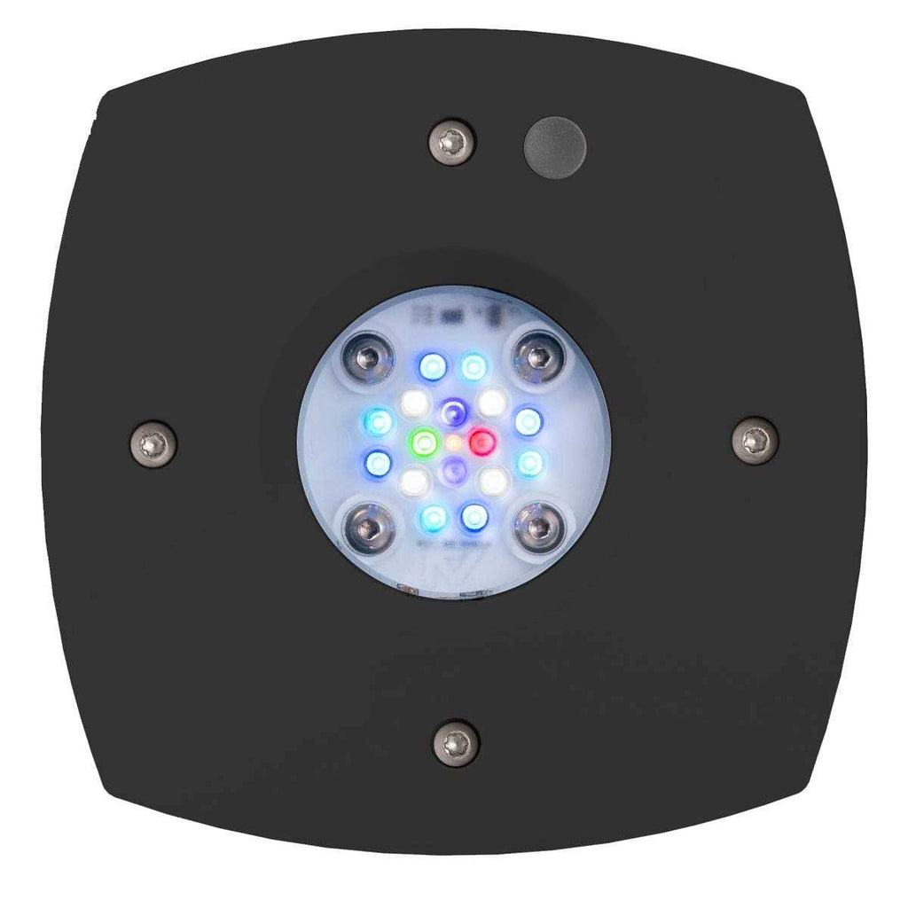 Reef LED Light Q949