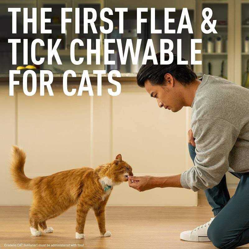 Credelio for Cats R991682