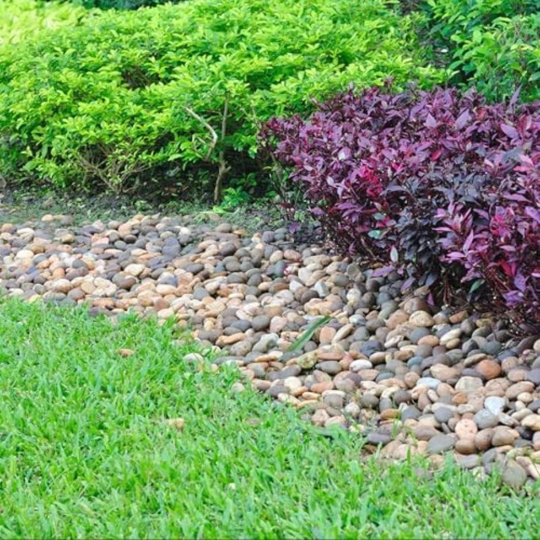40 lbs Decorative Garden Stones B192