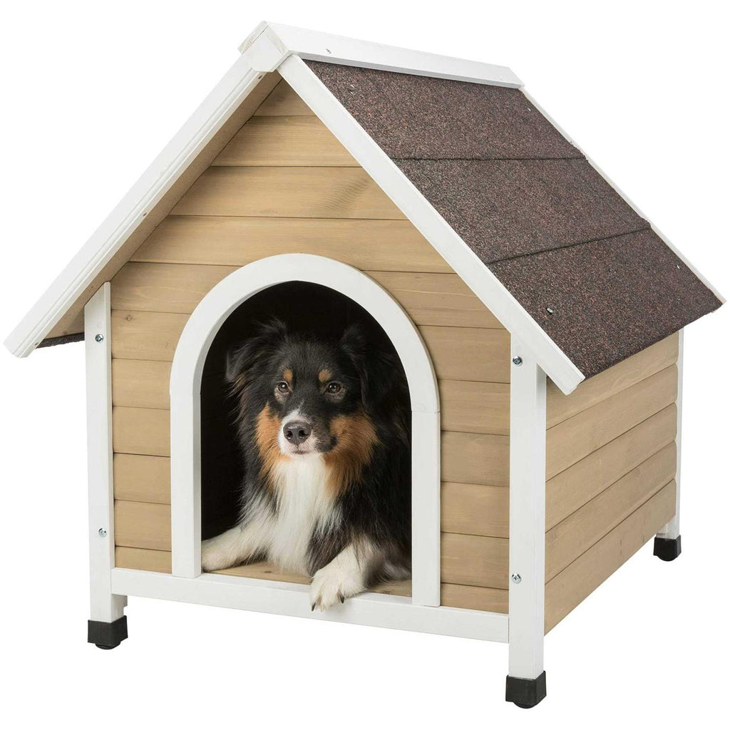 Dog House S259