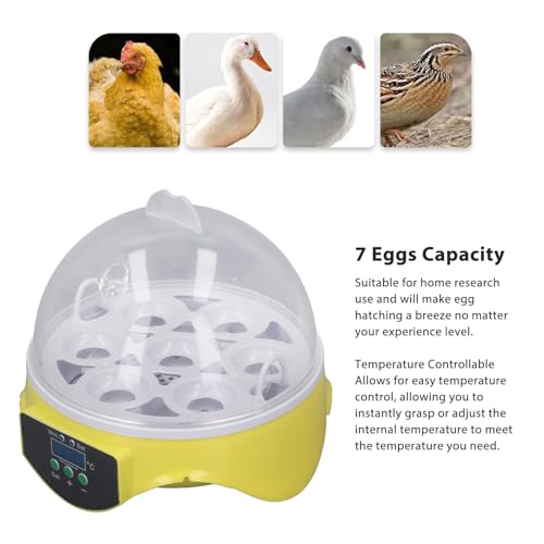 7 Egg Poultry Incubator with Temperature Control R945