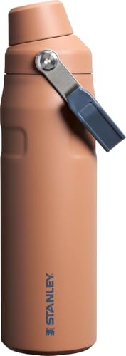 Insulated Stainless Steel Water Bottle with Angled Spout Lid O7037