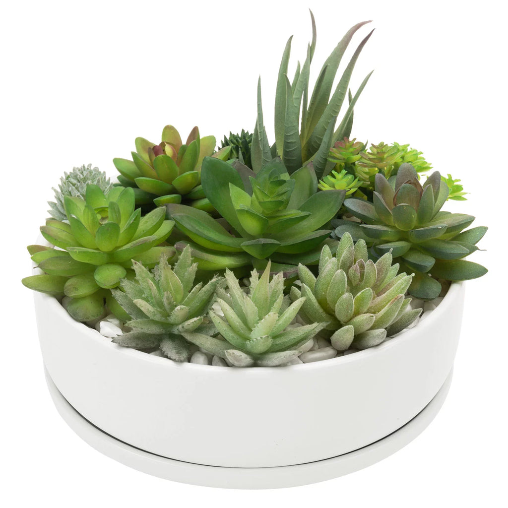White Ceramic Round Succulent Planter W876645