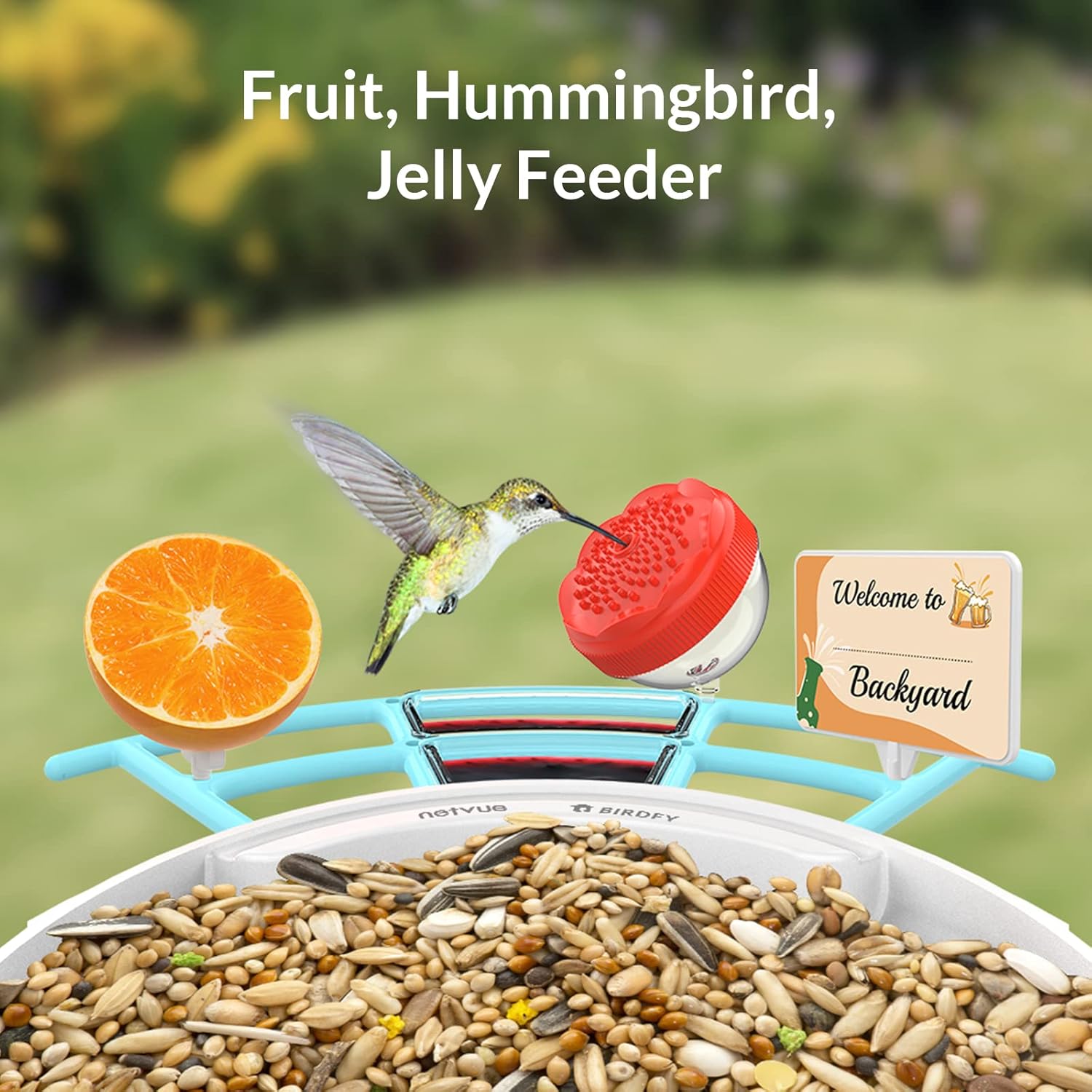 Bird Feeder with Camera K781