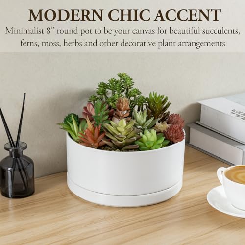 White Ceramic 7 Inch Plant Pot with Drainage Hole and Removable Tray L281