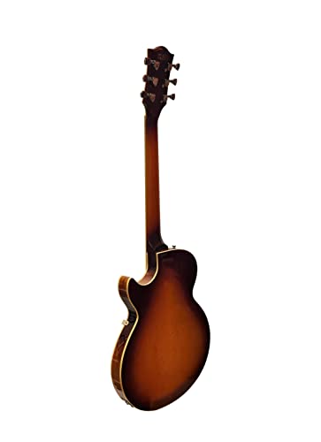 Tobacco Sunburst Jazz Solid Hollow-Body Electric Guitar G348