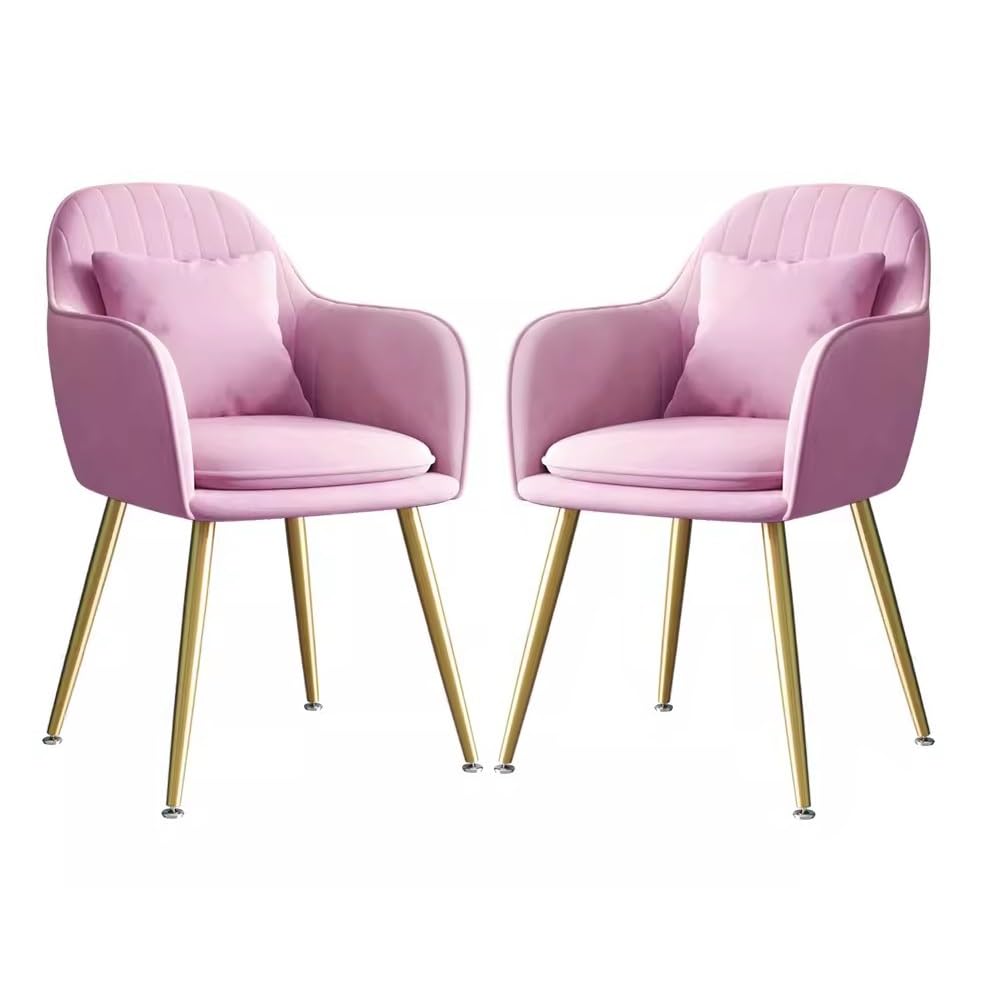 Leather Dining Chair with Backrest V7112