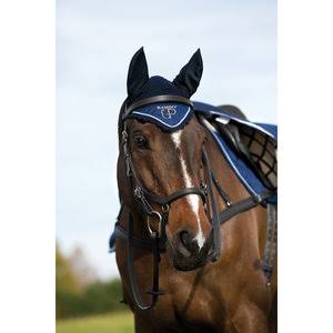 Competition Bridle X32544