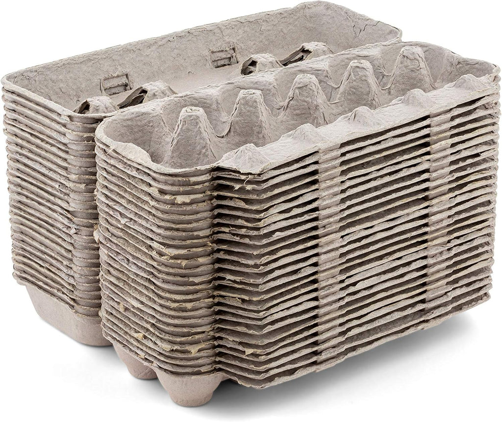 15 Pc Biodegradable Pulp Fiber Egg Cartons M4594