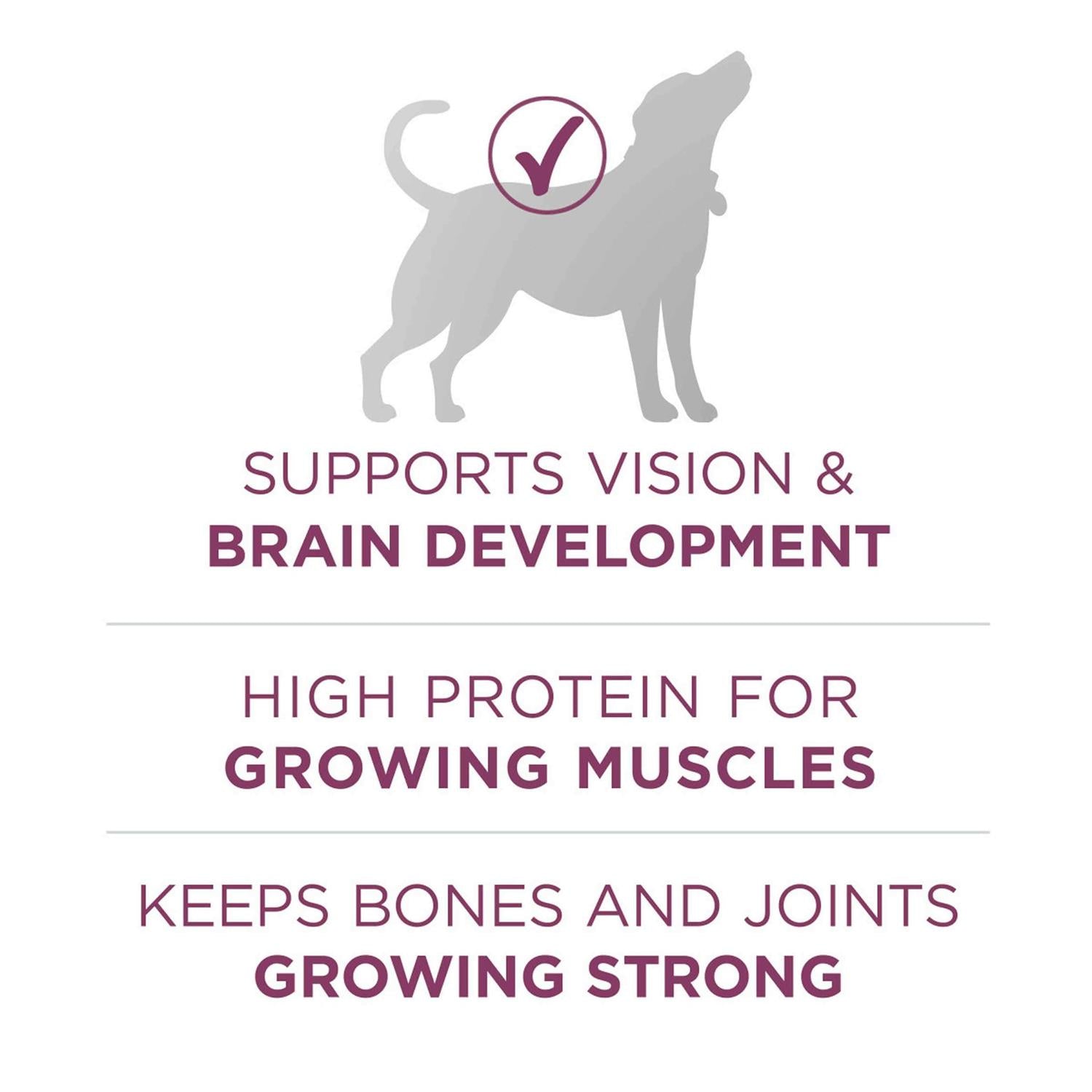 Healthy Puppy Formula Dry Food F867677