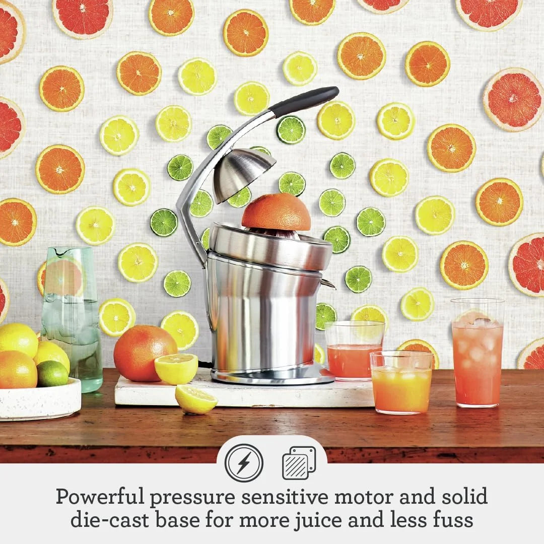 Electric Juicer, Stainless Steel F1659