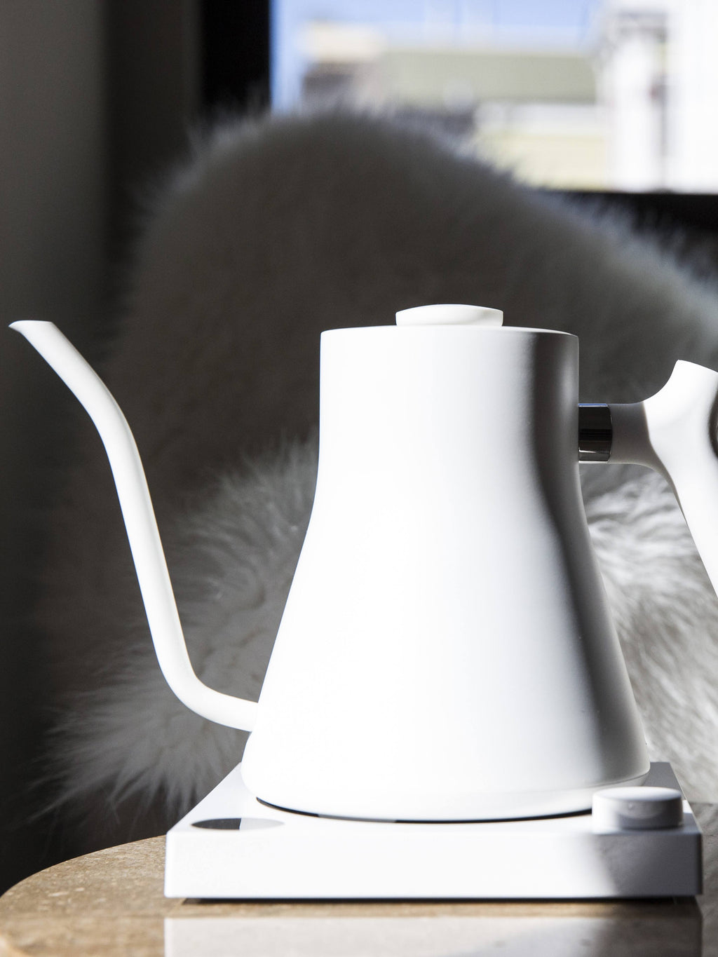 Matte White Electric Kettle E90720