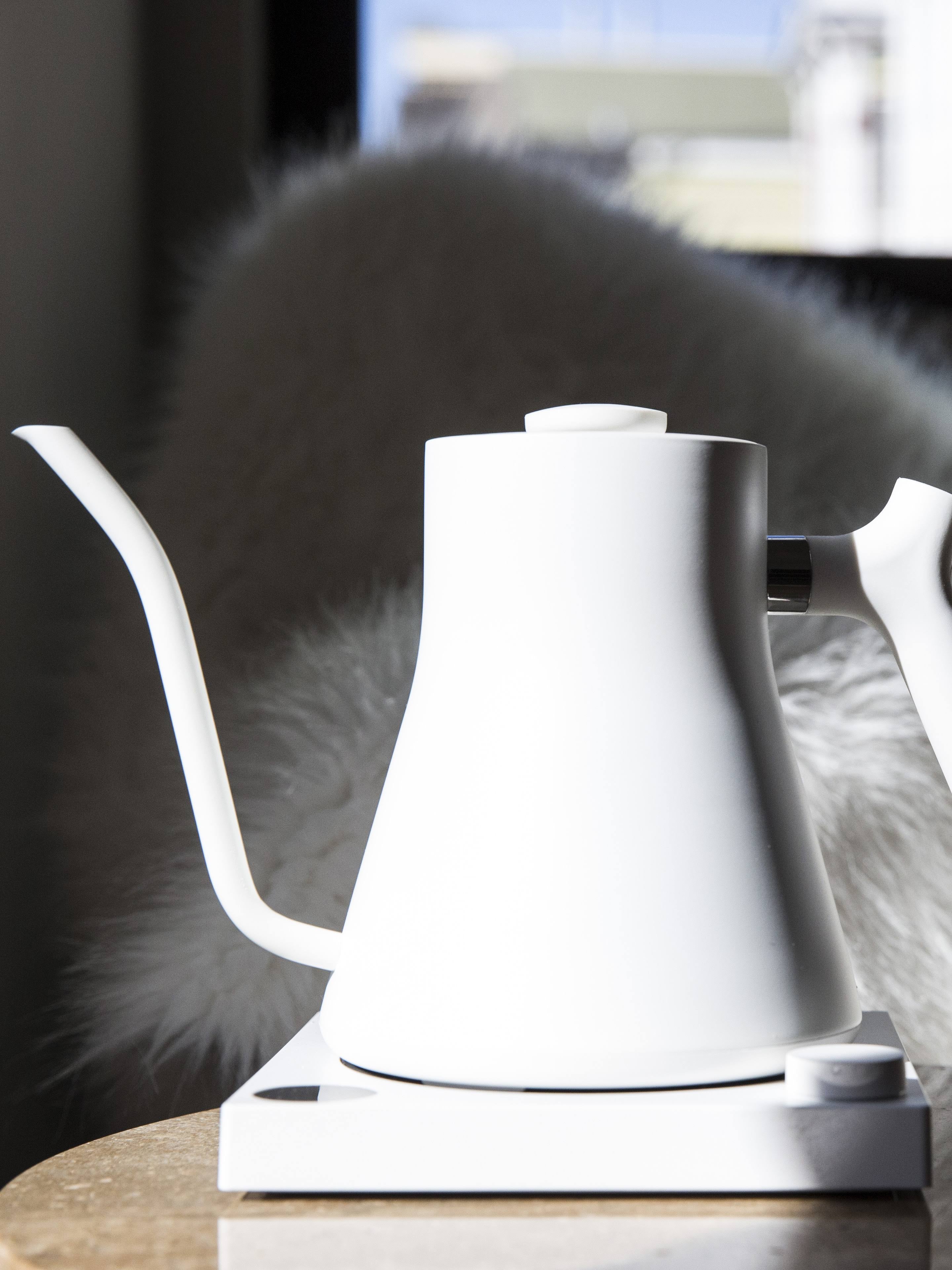 Matte White Electric Kettle E90720