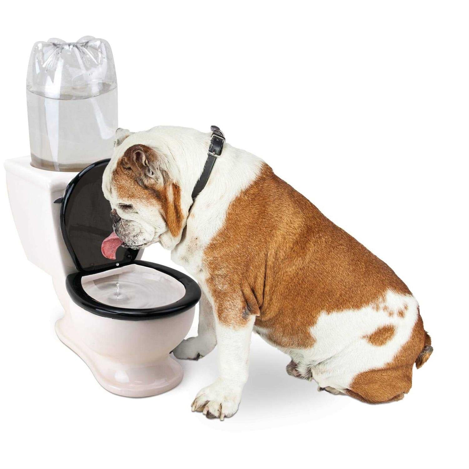Toilet Water Dish for Dogs V26772
