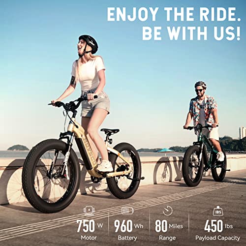 26"x 4" Fat Tire Electric Bike with 750W Motor 48V 20Ah Removable Battery K85314