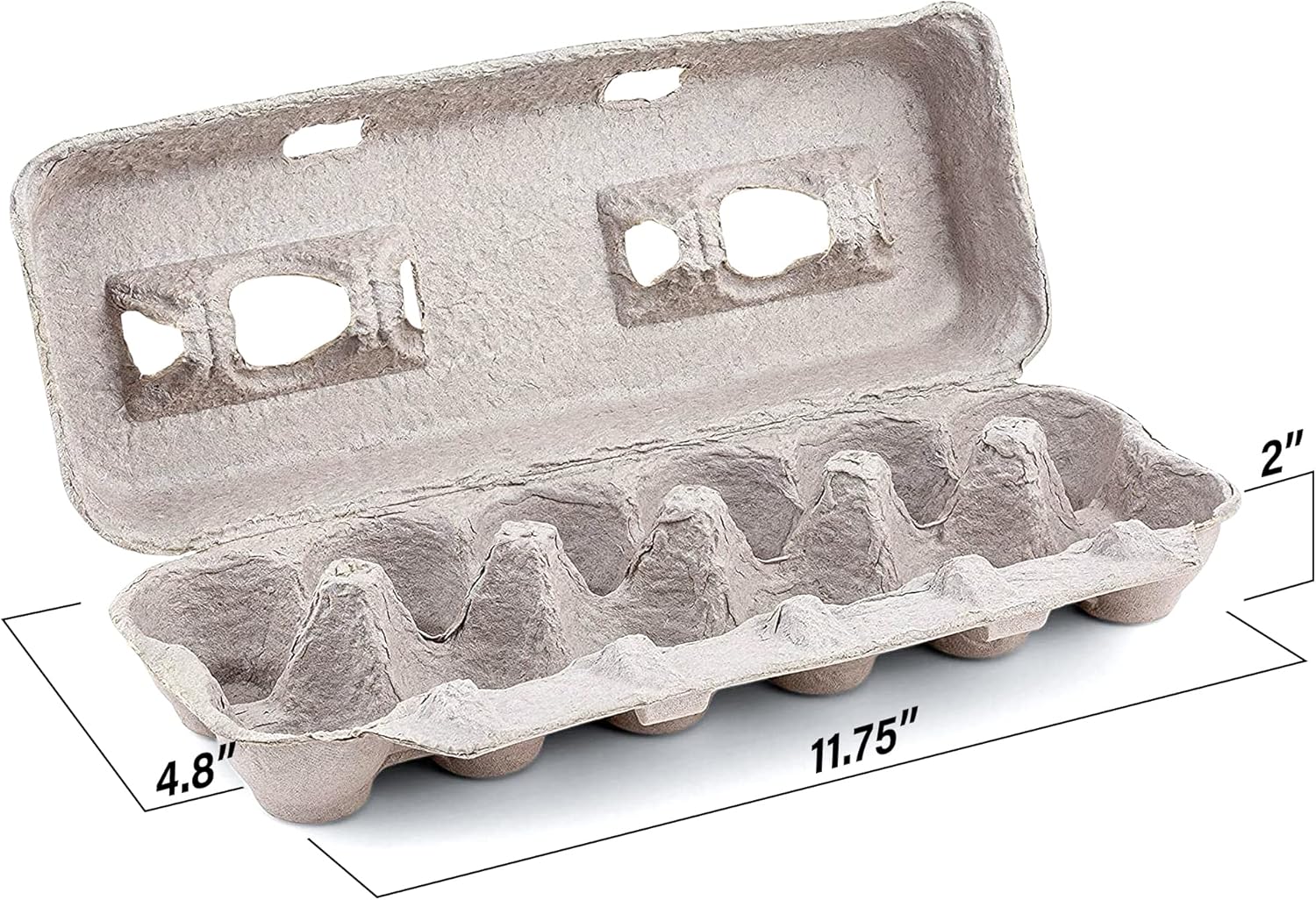15 Pc Biodegradable Pulp Fiber Egg Cartons M4594