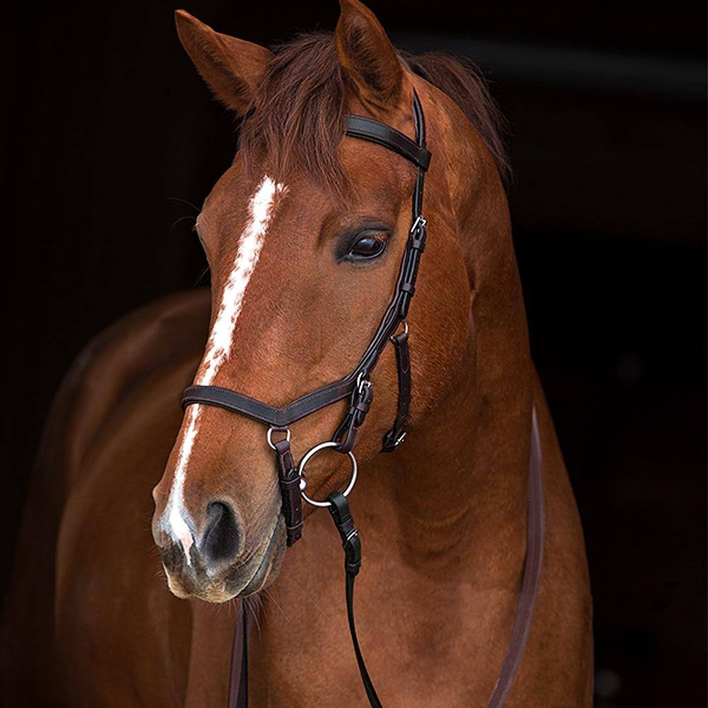 Competition Bridle X32544