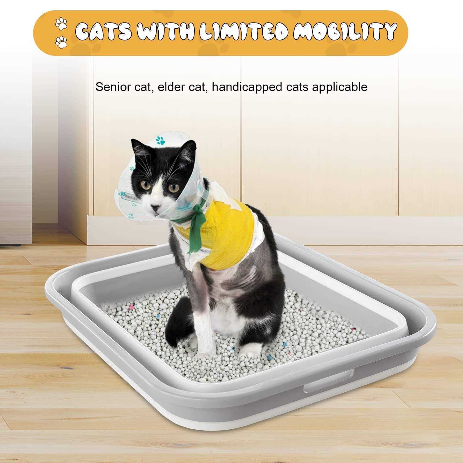 Senior Cat Litter Box Open Low Entry Z962536