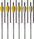 340 Spine Fletched Carbon Arrows Y56055