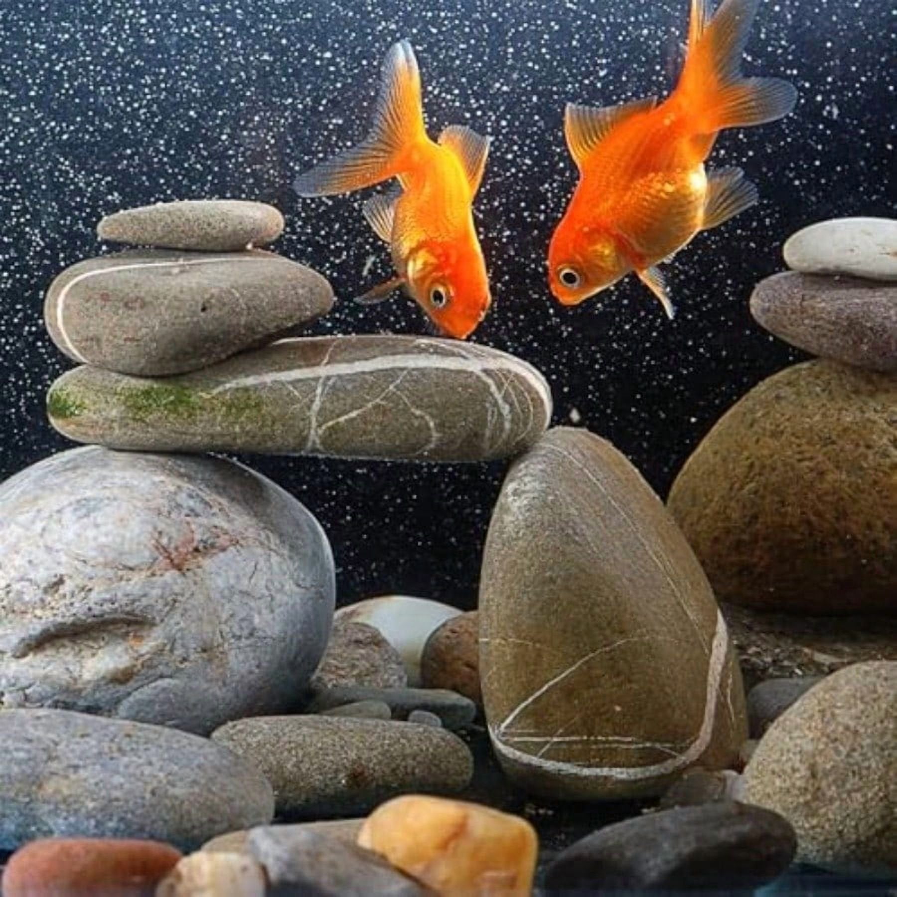 40 lbs Decorative Garden Stones B192