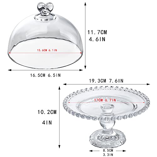 Clear Glass Cake Plate with Dome G574