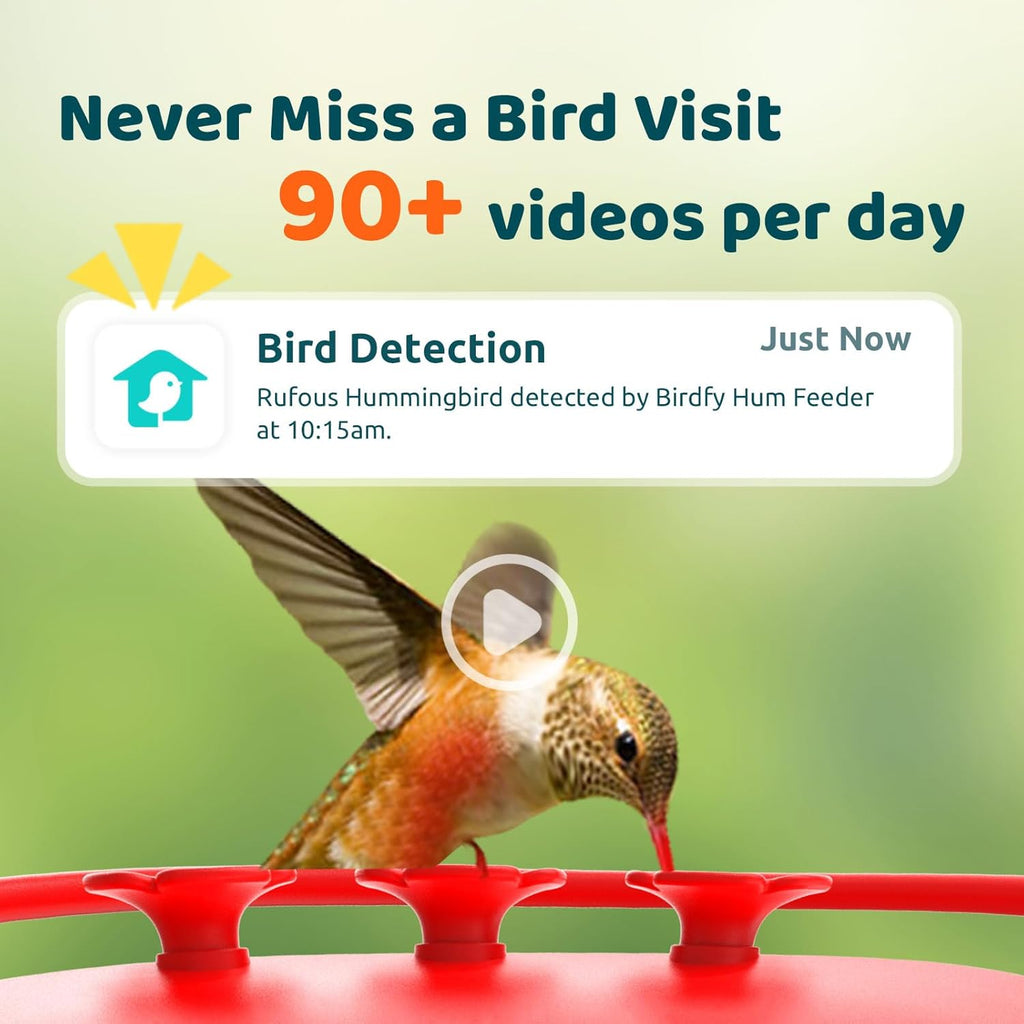 Hummingbird Feeder with Camera, 2K Dual Smart Cameras Solar Powered, 20 Ounces X124