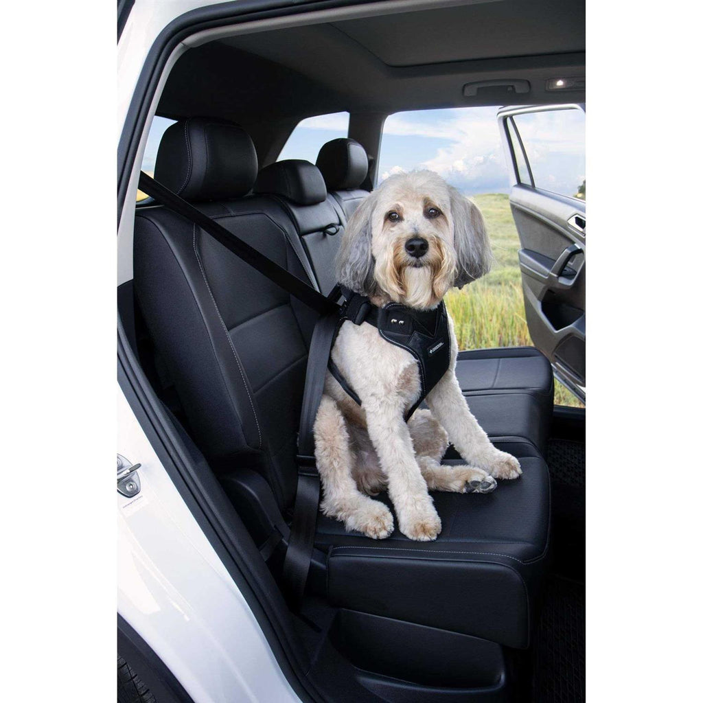 Sherpa Crash Tested Seatbelt Safety Harness F745