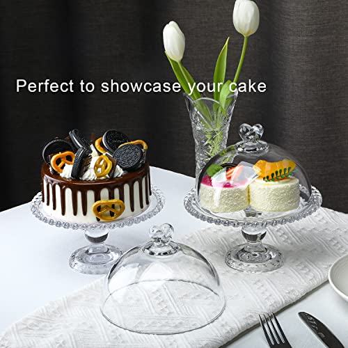Clear Glass Cake Plate with Dome G574