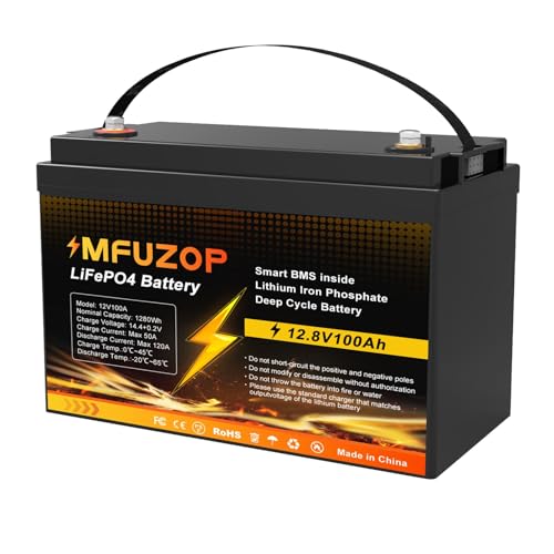 12V 100Ah LiFePO4 Battery with 100A BMS P9308