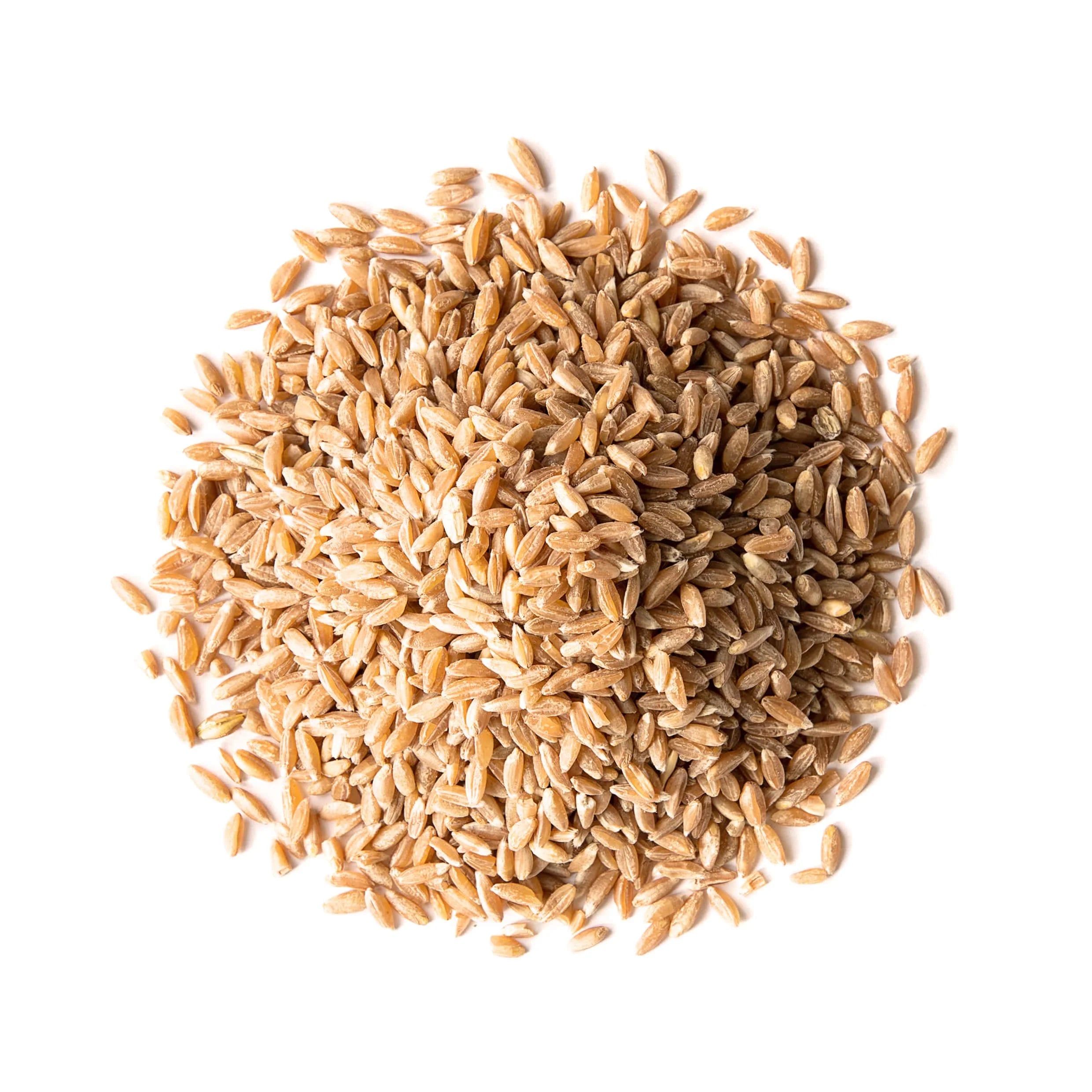 Spelt Berries, 10 Pounds Q71951
