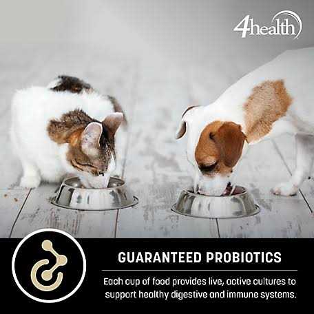 4health Wholesome Grains Adult Lamb and Rice Formula Dry Dog Food X47578