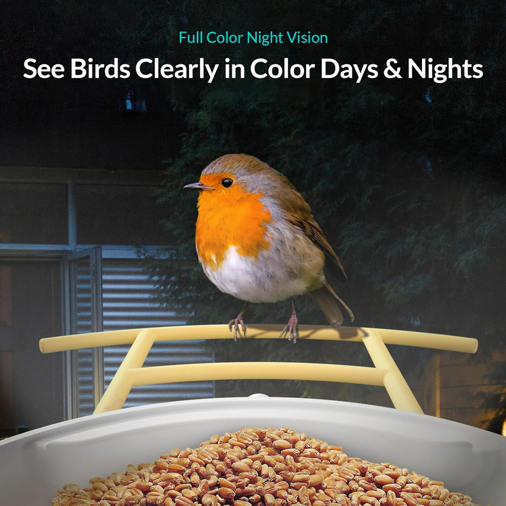 Birdfy Camera with Solar Panel and Pro Perch I7289