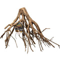 Mangrove Root H38285