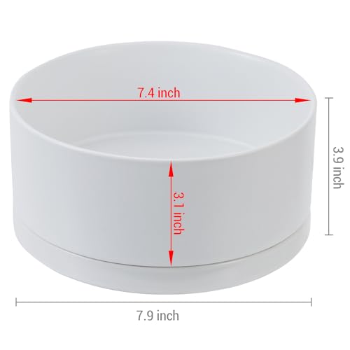White Ceramic 7 Inch Plant Pot with Drainage Hole and Removable Tray L281