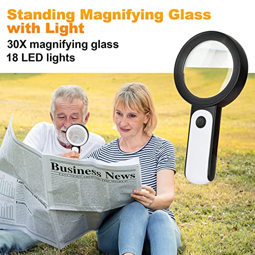 30X Handheld Magnifying Glass with 12 LED Light F1281