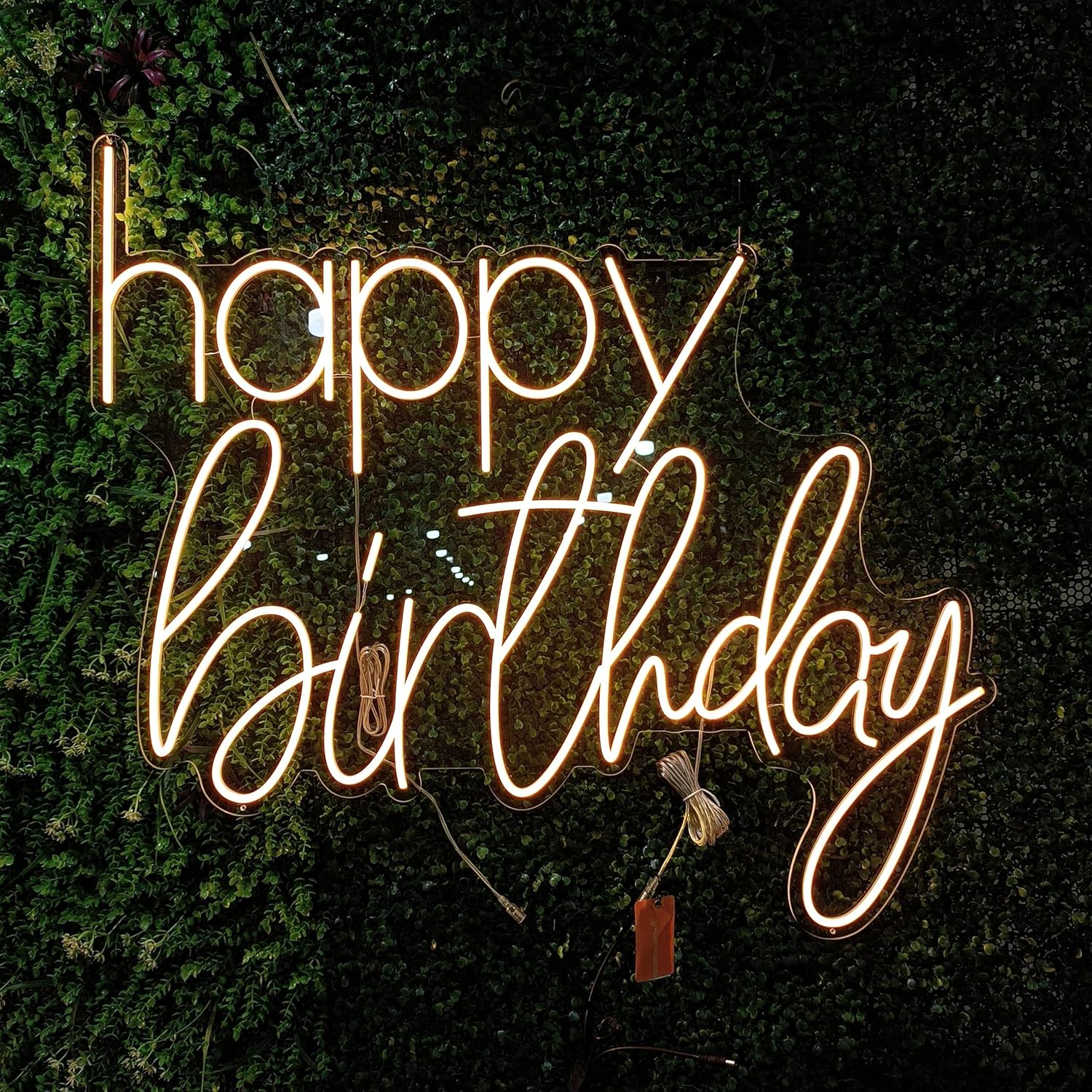Custom Neon Signs T782