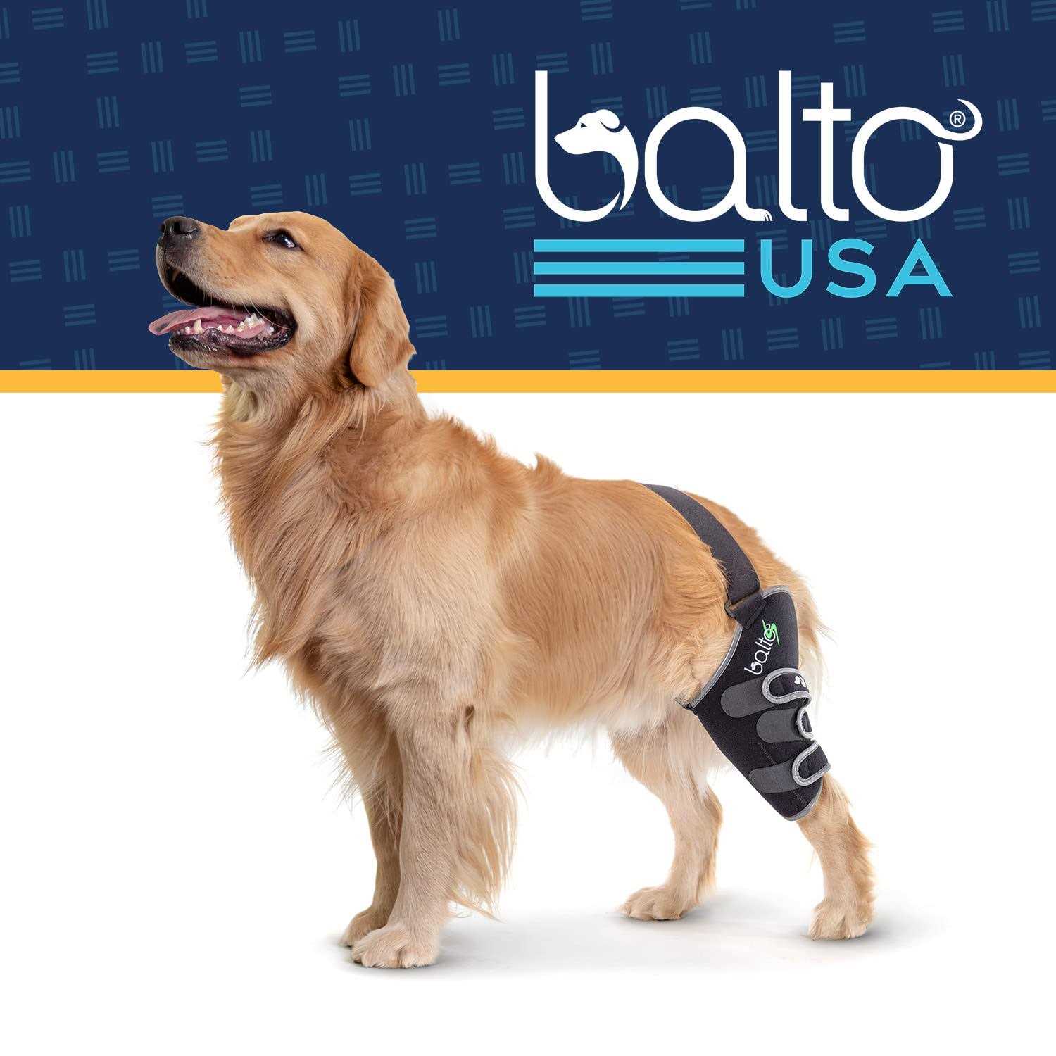 Knee Support for Dogs L6657