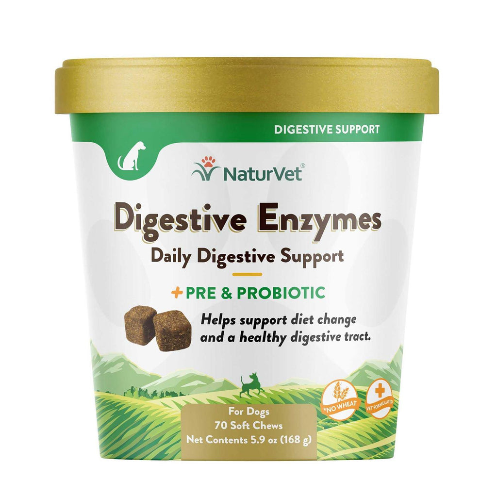 Digestive Enzymes Y769087