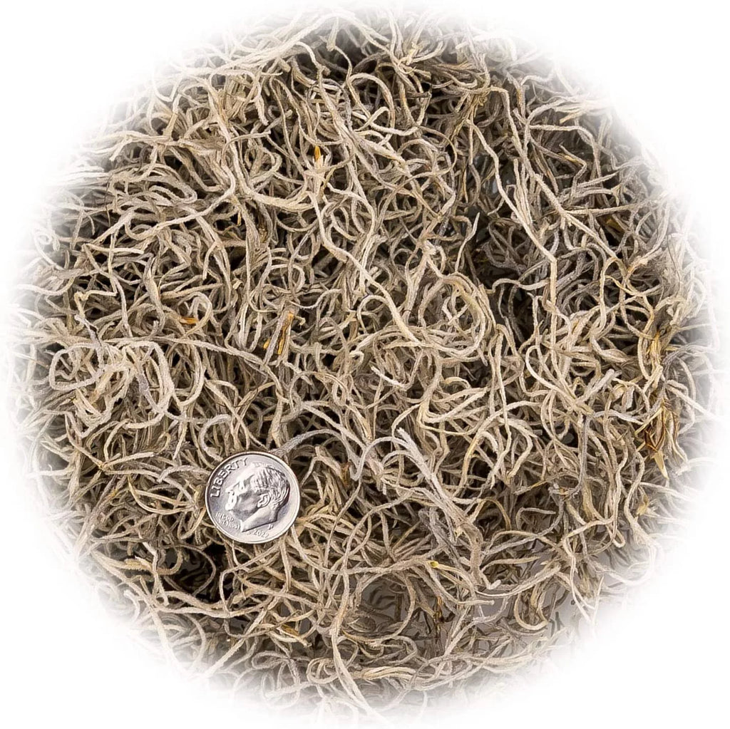 Natural Spanish Moss, 3 Quart Bag U93031