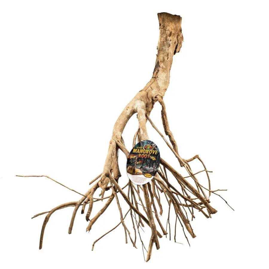 Mangrove Root H38285