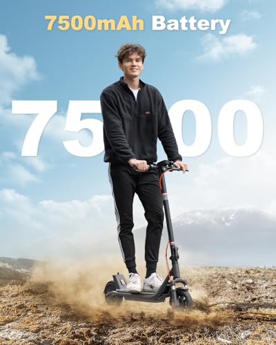300W Electric Scooter with 7.5AH Battery, 15.5 mph Speed, 11 Miles Range, 8in Solid Tires M824815