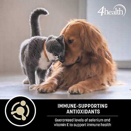 4health Wholesome Grains Adult Lamb and Rice Formula Dry Dog Food X47578