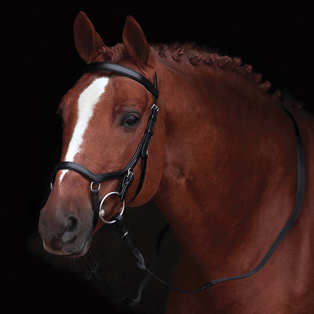 Competition Bridle X32544