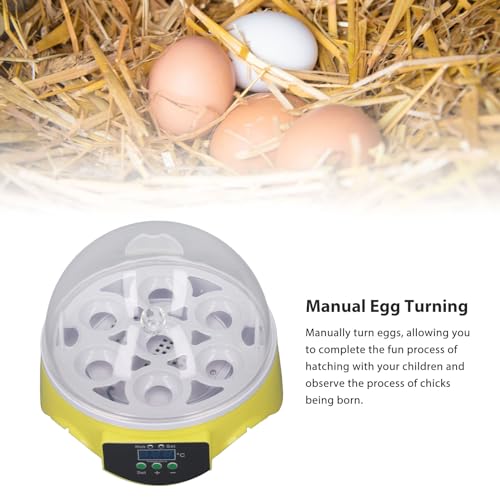 7 Egg Poultry Incubator with Temperature Control R945